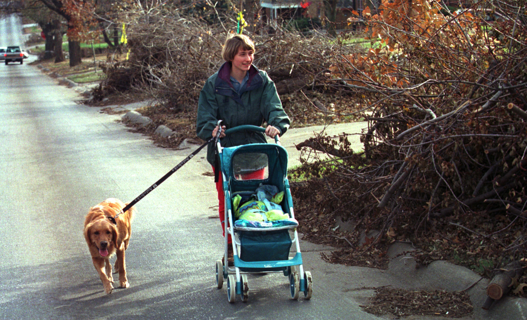 Forced into the street as she attempts her first outing with her baby along 52nd near Erskine Street, Karla Zavadil, baby Daniel 6 months, and dog "Sammy", maneuver into the street around piled up branches on the sidewalk.